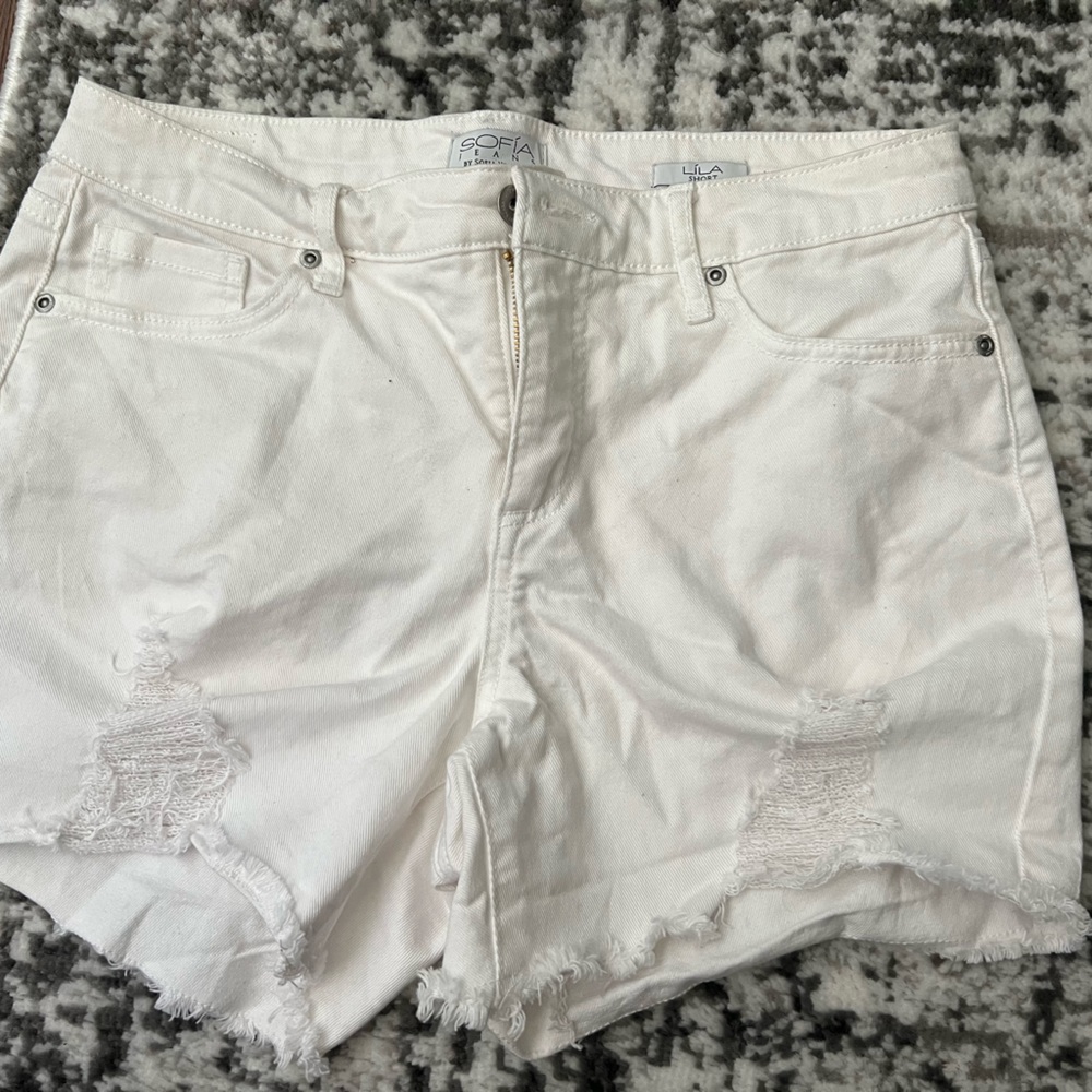 Sofia Vergara Lila Shorts - Size 6